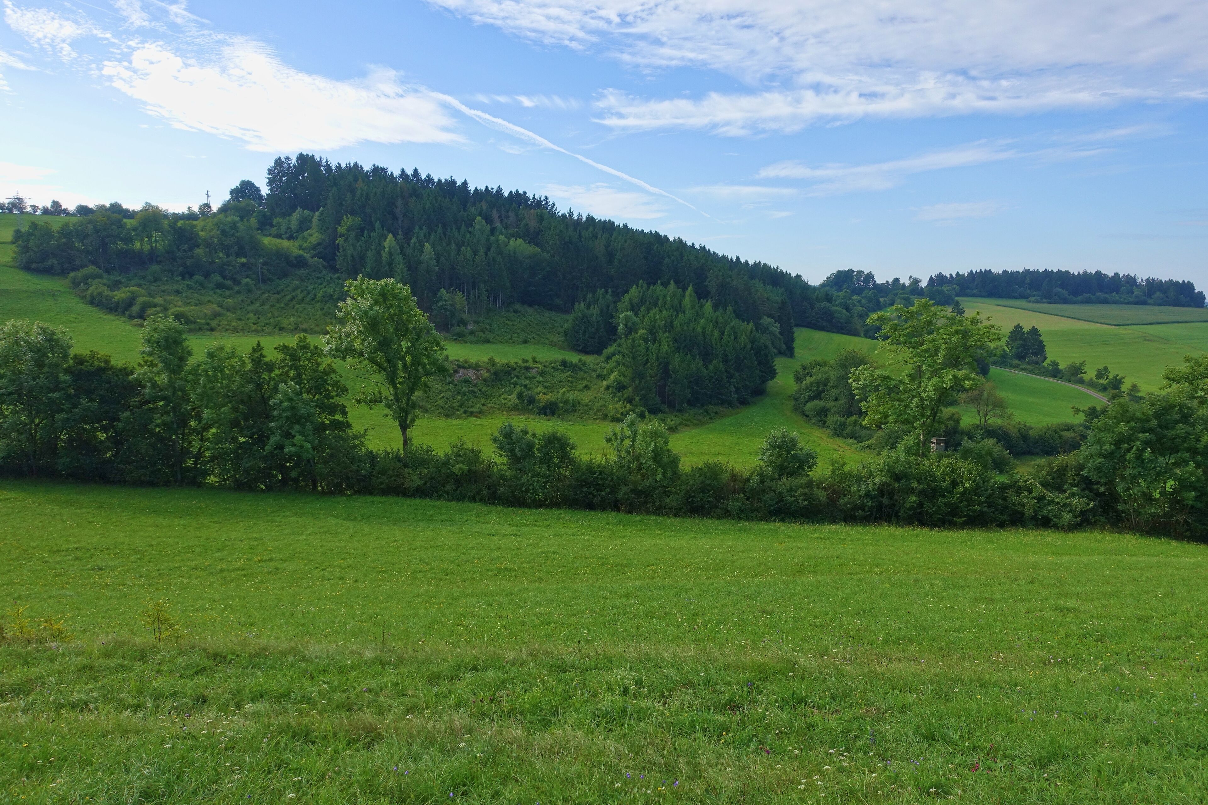 Heckenlandschaft mit ausgedehnten, schützenswerten Kalkmagerrasen, Feuchtgebieten und Saumgesellschaften.