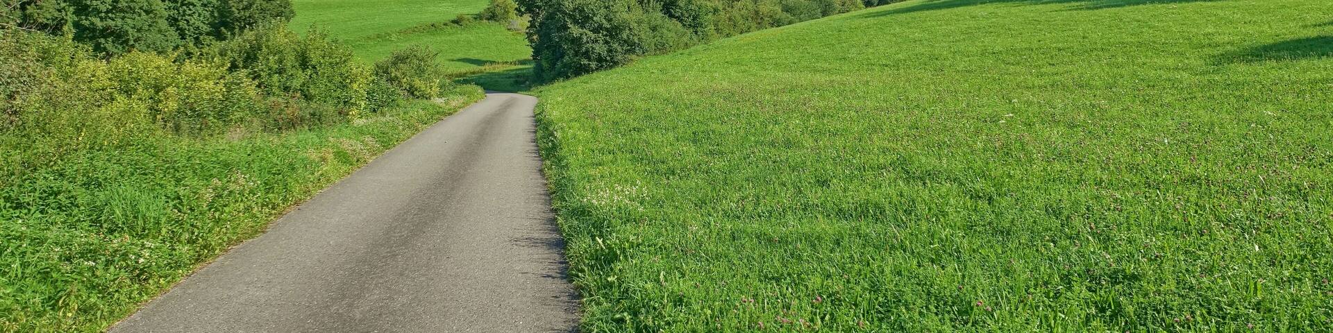 Heckenlandschaft mit ausgedehnten, schützenswerten Kalkmagerrasen, Feuchtgebieten und Saumgesellschaften.