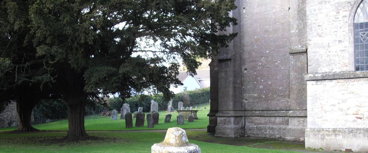A cemetery with gravestones and a large tree in the foreground.