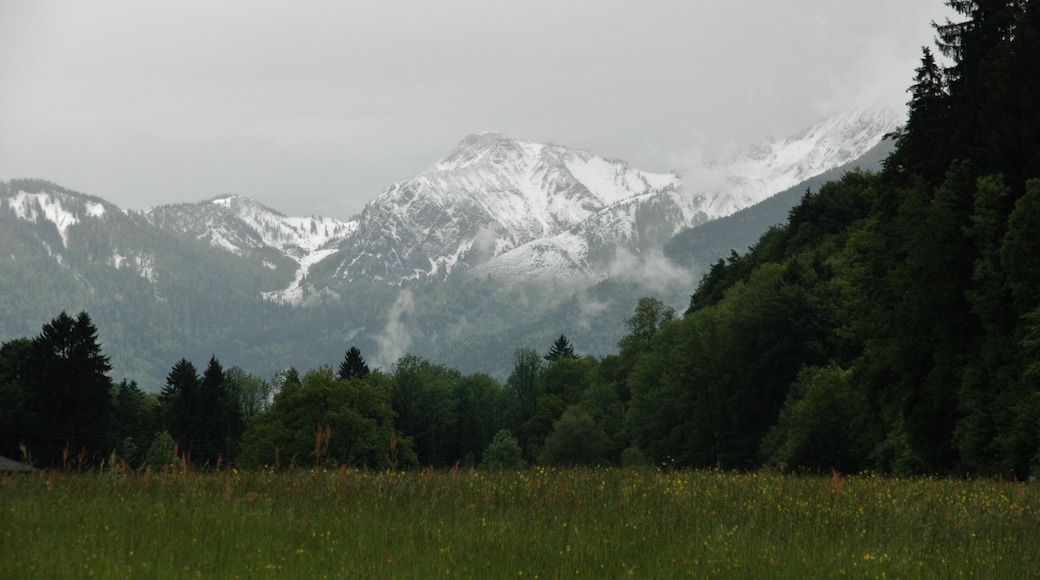 Ausblick vom Kindercamp Sonnenhof