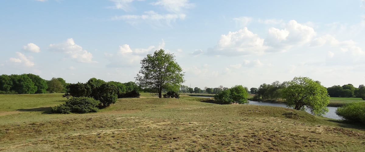 Das Naturschutzgebiet Meppener Kuhweide. In der rechten Bildhäfte fließt die Ems