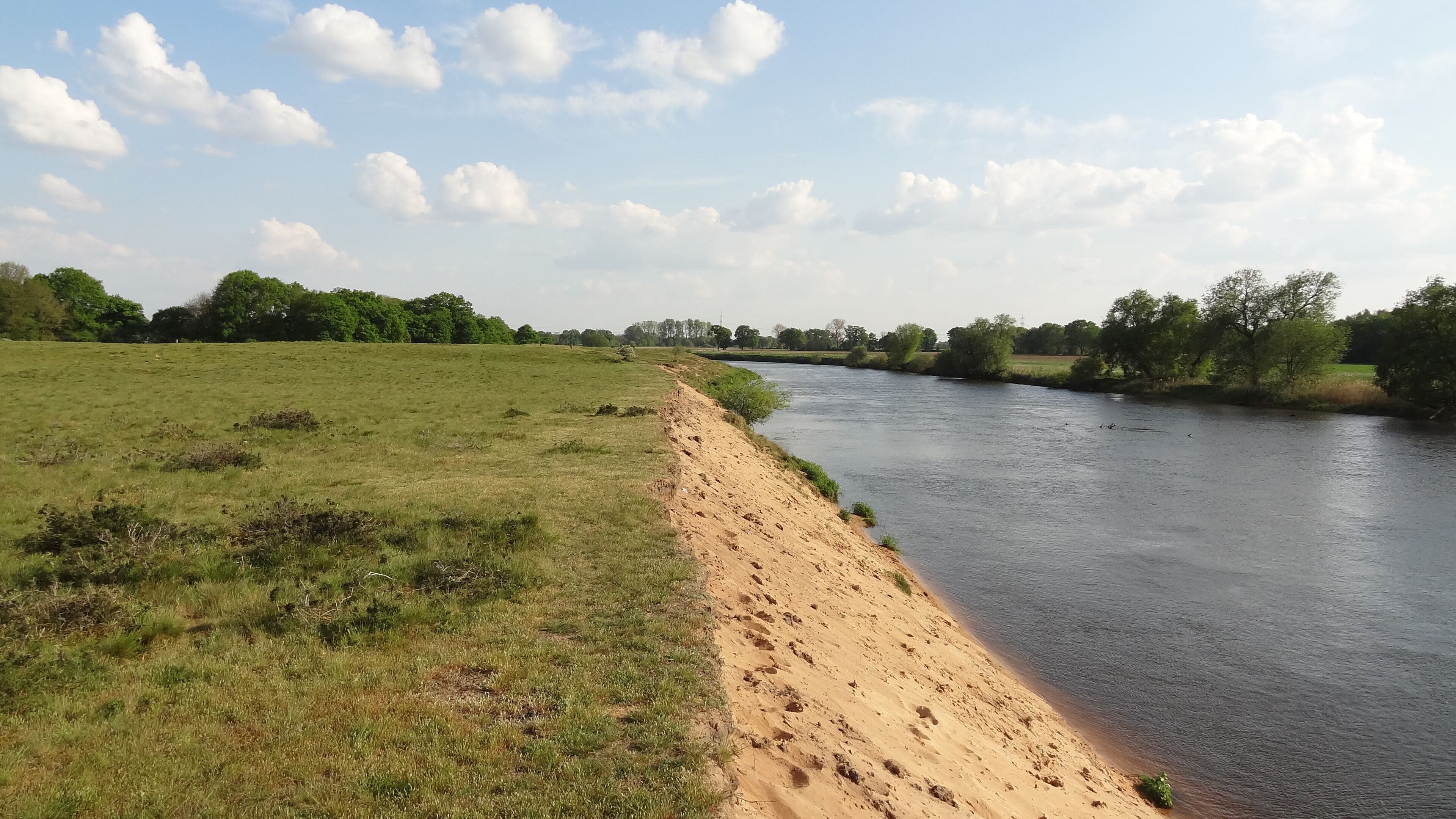 Das Naturschutzgebiet Meppener Kuhweide. In der rechten Bildhäfte fließt die Ems.