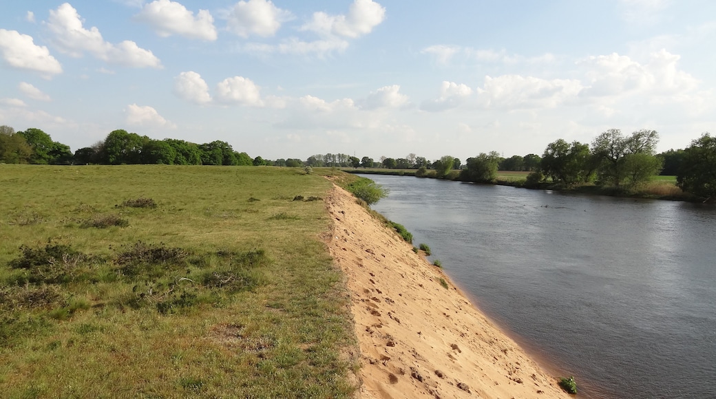 Das Naturschutzgebiet Meppener Kuhweide. In der rechten Bildhäfte fließt die Ems.