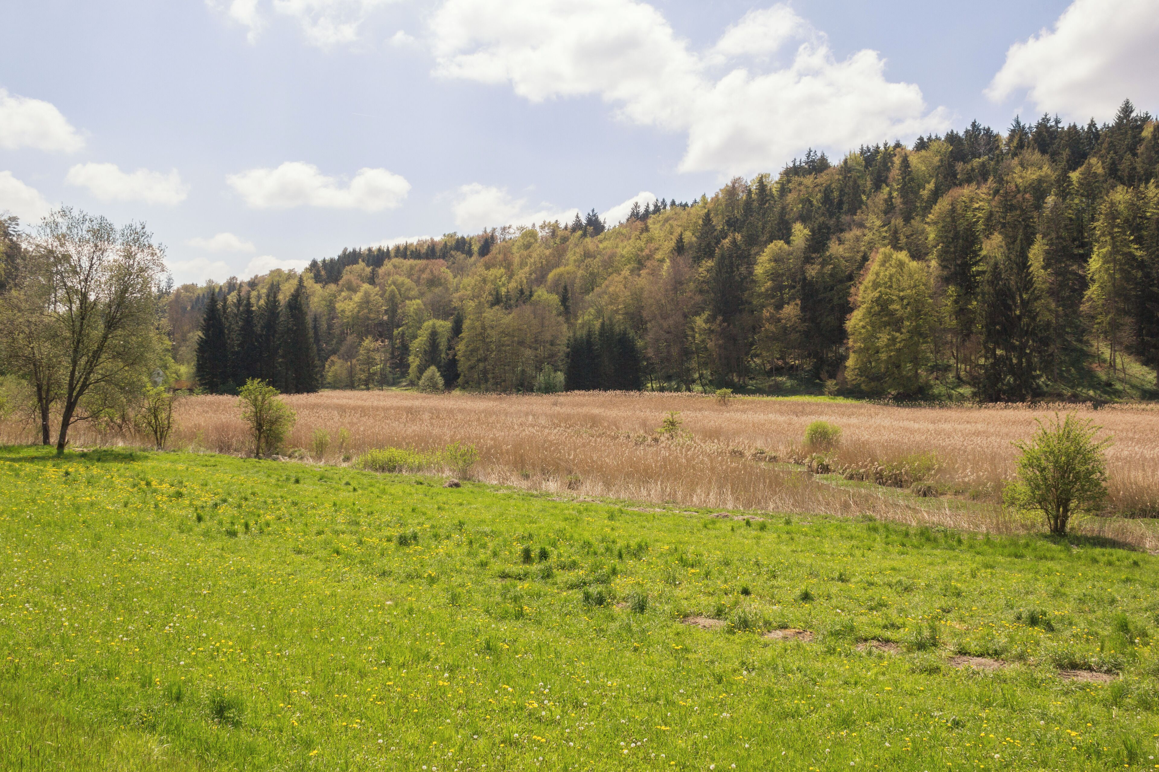 Schambachtal bei Schambach, Landschaftsschutzgebiet und Naturpark Altmühltal, FFH-Gebiet Mittleres Altmühltal mit Wellheimer Trockental und Schambachtal