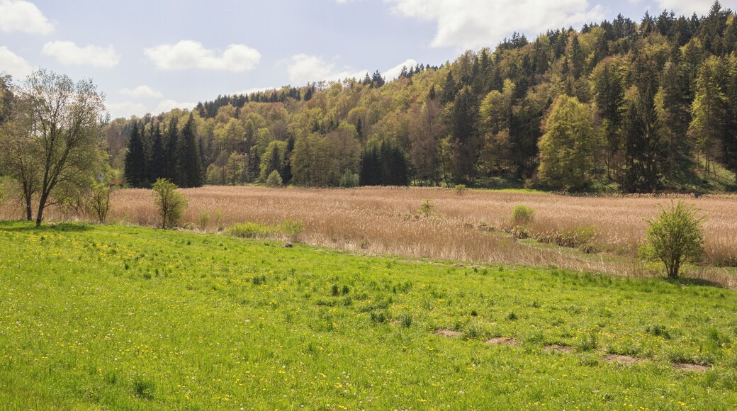 Schambachtal bei Schambach, Landschaftsschutzgebiet und Naturpark Altmühltal, FFH-Gebiet Mittleres Altmühltal mit Wellheimer Trockental und Schambachtal