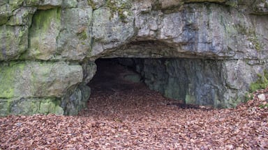 Torfelsen, Unteremmendorf, Kinding