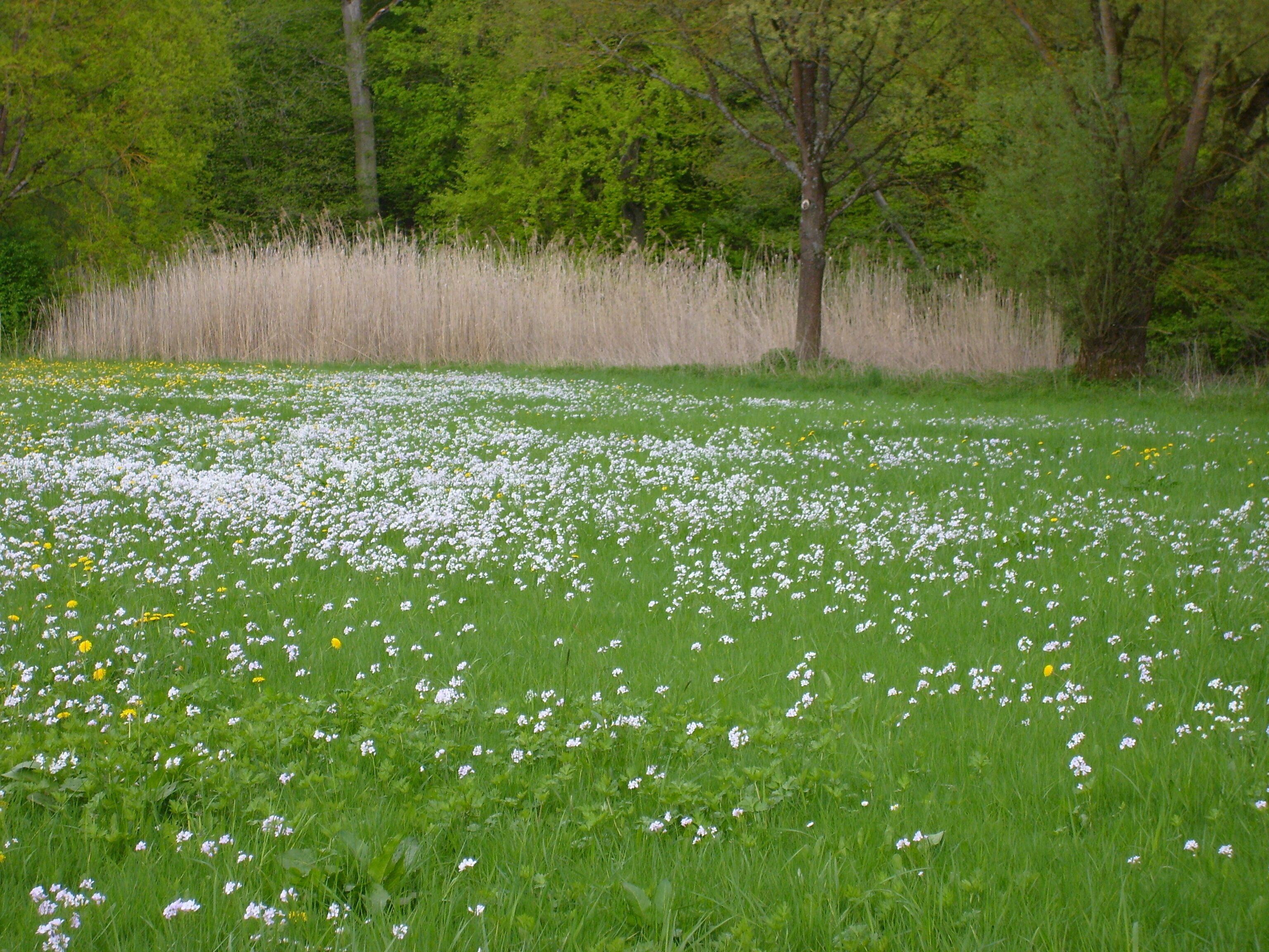Deutschland im Mai beim Campingplatz Kratzmühle