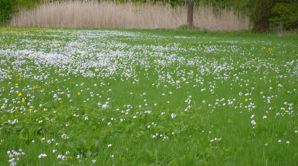 Deutschland im Mai beim Campingplatz Kratzmühle