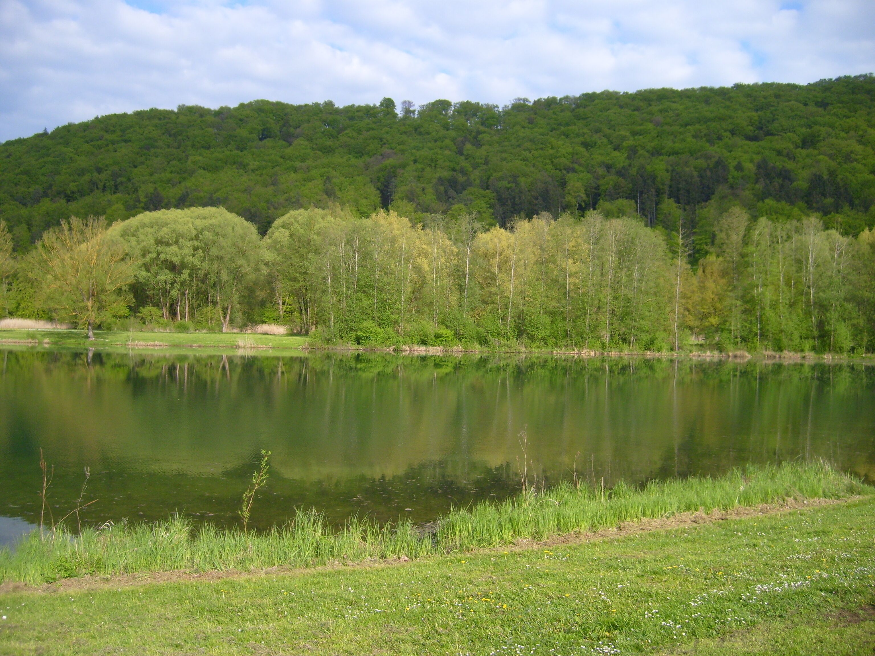 Deutschland im Mai am Pfauendorfer See