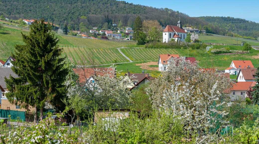 Ortsbild von Gleiszellen-Gleishorbach mit St Dionysius Kapelle. Region Pfalz im Bundesland Rheinland-Pfalz in Deutschland