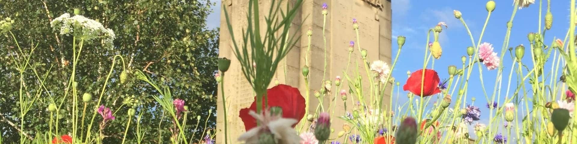 A lovely memory of our summer hols in hope valley . Wild flowers in Hope .
