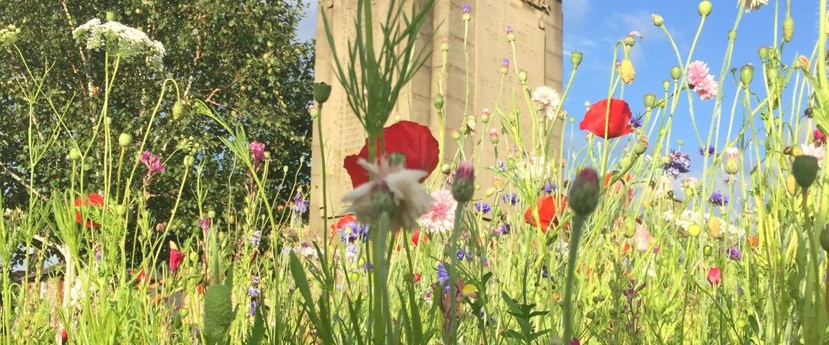 A field of wildflowers with a historic tower in the background.