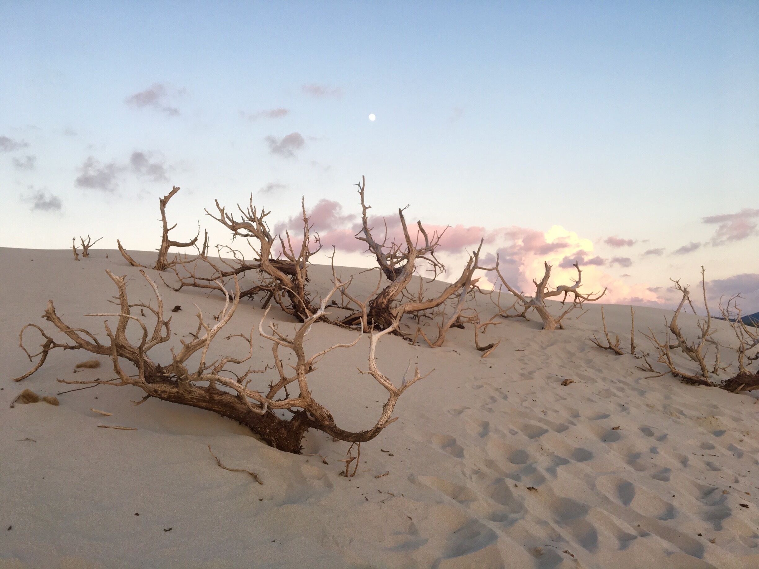#sardinia #Porto Pino #dune 