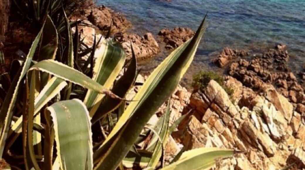 Best beach I seen in Sardinia!