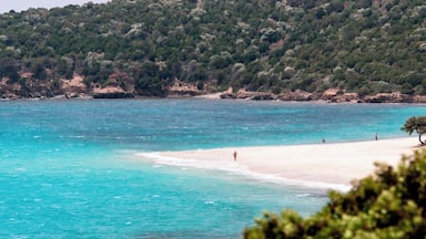 Spiagga Di Tuerredda, Sardinia, Italy.
A beautiful spit of sand.
#Blue #beachtips