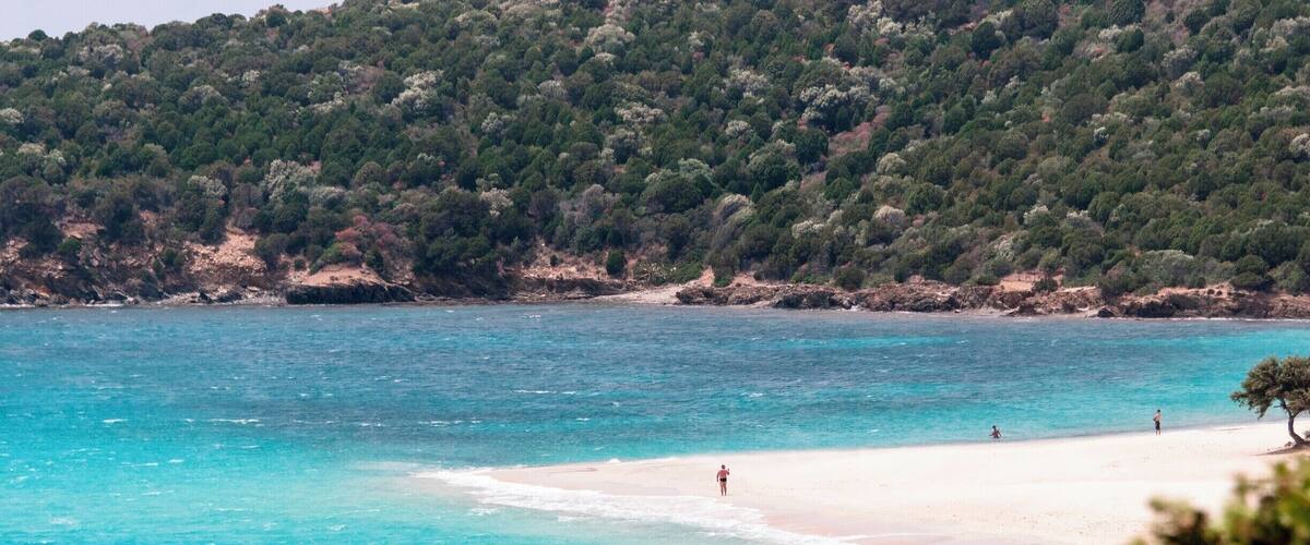 A beach with clear turquoise water, a sandy shore, and a forested hillside in the background.