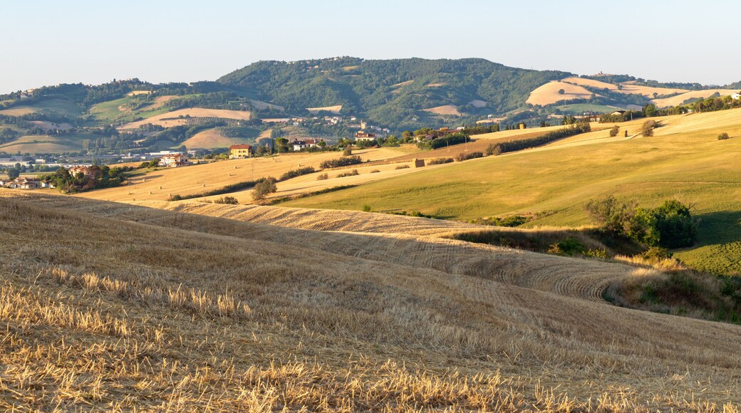 View of the fields near Tavullia at morning after the sunrise, Marche, Italy