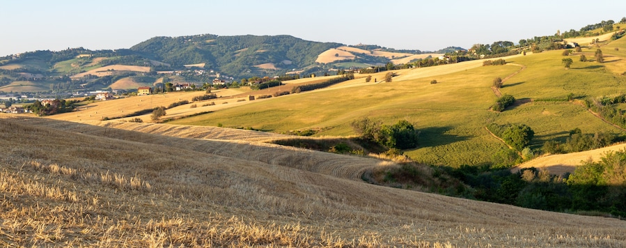View of the fields near Tavullia at morning after the sunrise, Marche, Italy
