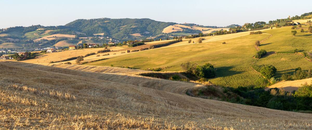 Rolling hills, a distant village, and a mountain range.