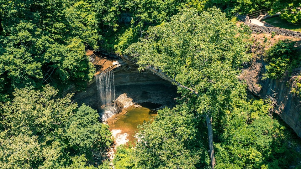 A waterfall cascading into a pool surrounded by dense forest.
