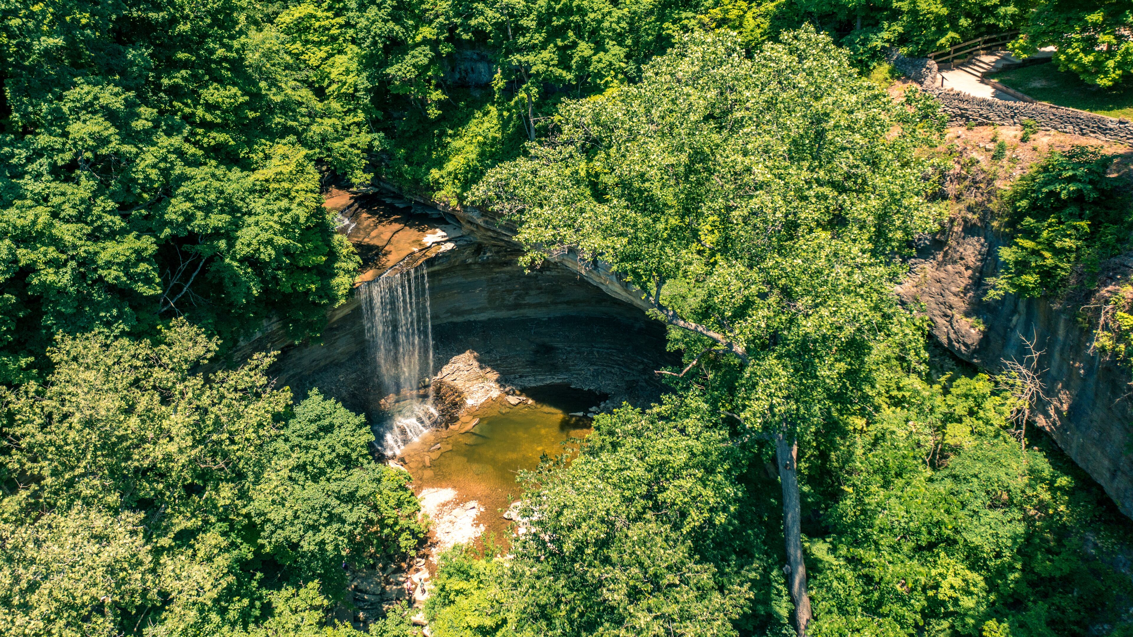 A waterfall cascading into a pool surrounded by dense forest.
