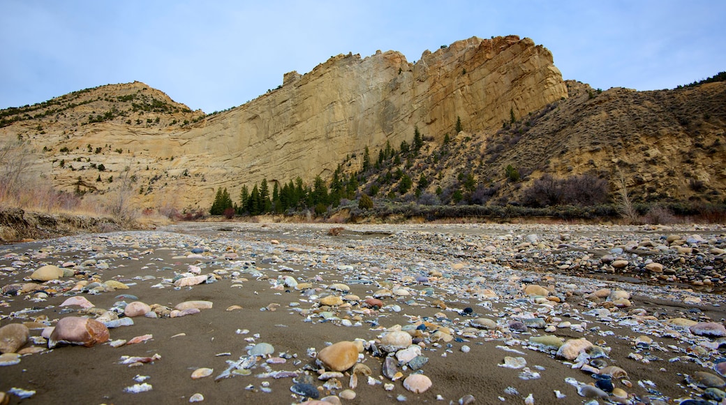 ํจ๋ฆฌ๋น