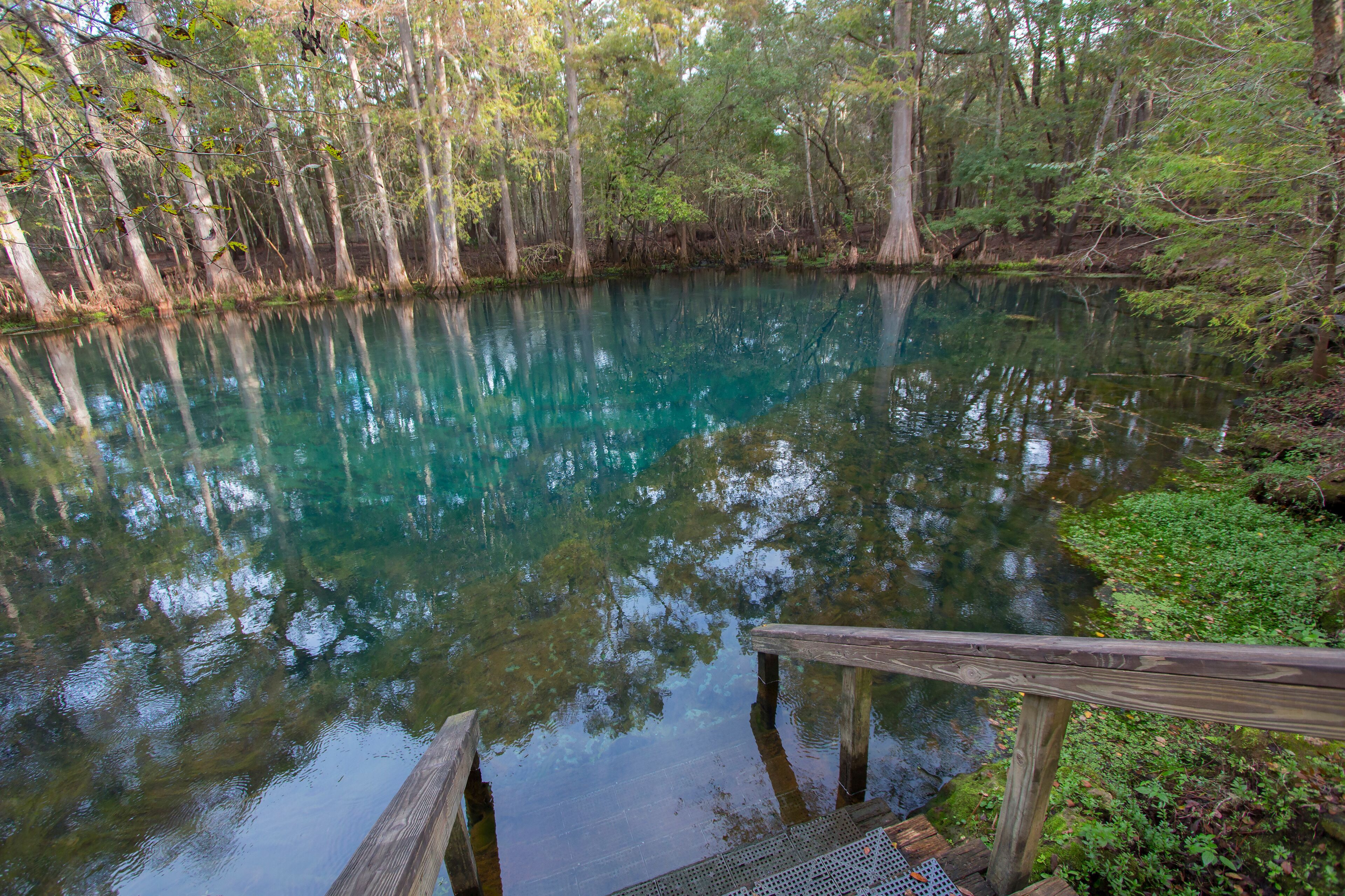 Manatee Springs State Park, Chiefland, Florida
