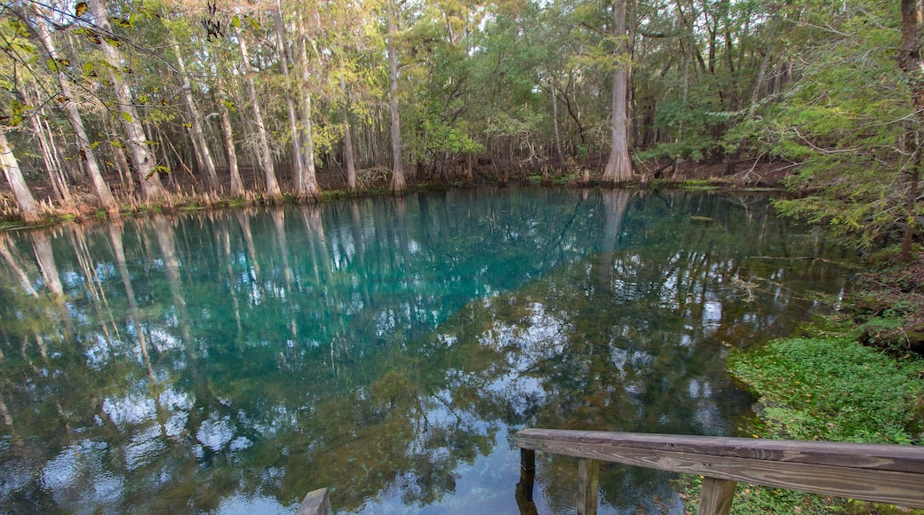 Manatee Springs State Park, Chiefland, Florida