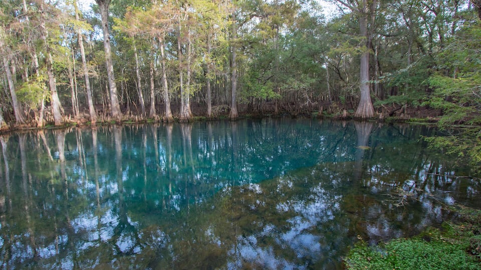 A calm lake surrounded by trees with clear reflections.