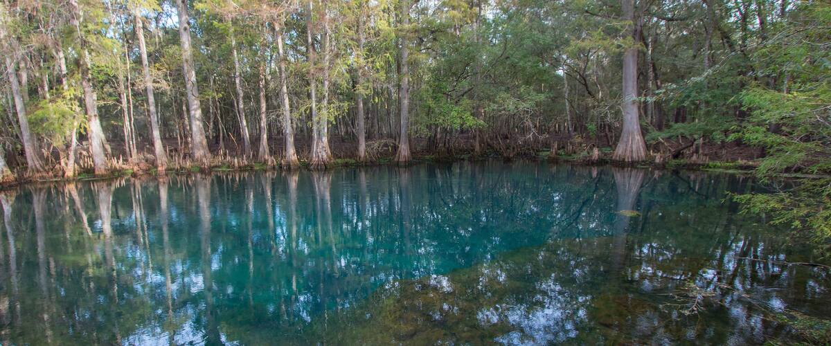 A calm lake surrounded by trees with clear reflections.