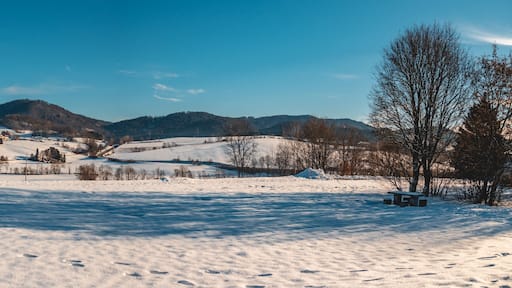 Beautiful winter view near Schoenberg-Bavarian Forest-Bavaria-Germany