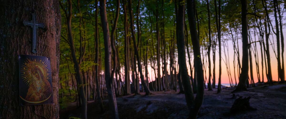 A cross on a tree in a forest with a sunset in the background.
