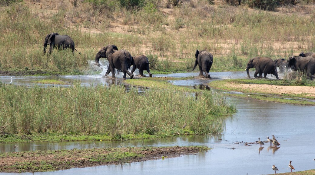 Región de Kavango del Oeste