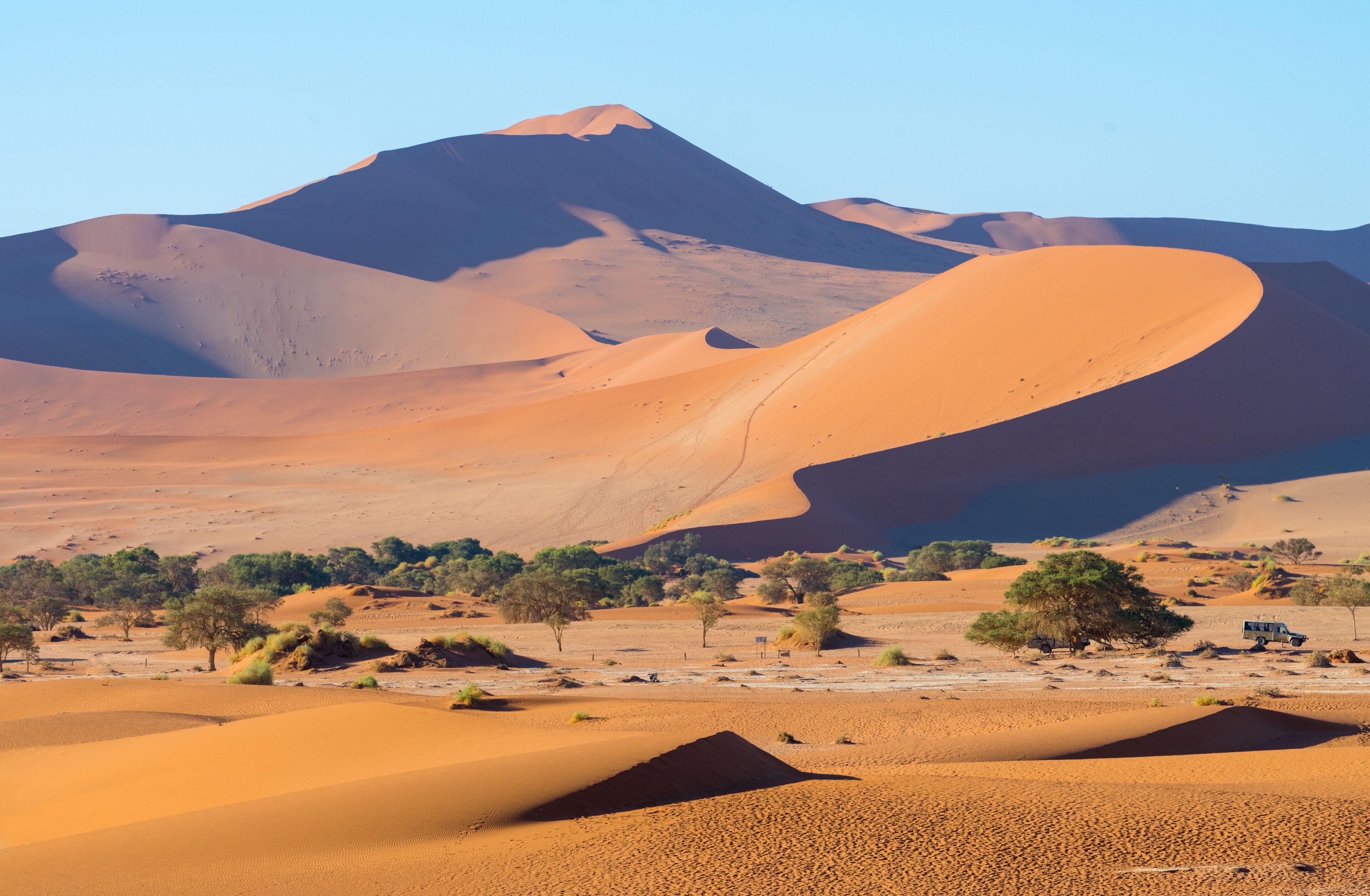 Parkplatz in der Namib bei Deadvlei und Sossusvlei, Sesriem, Namibia