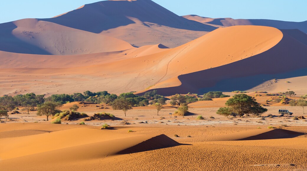 Parkplatz in der Namib bei Deadvlei und Sossusvlei, Sesriem, Namibia