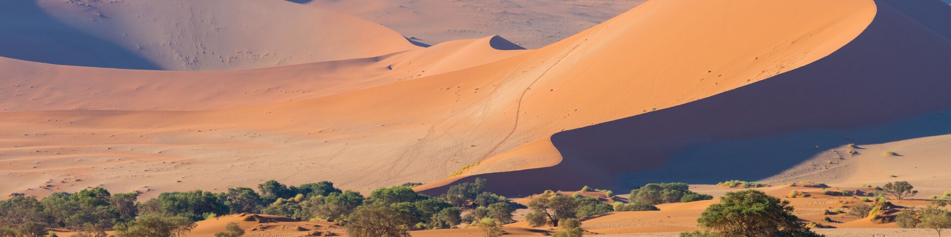 Paisaje desértico con dunas de arena, vegetación escasa y una cadena montañosa distante.