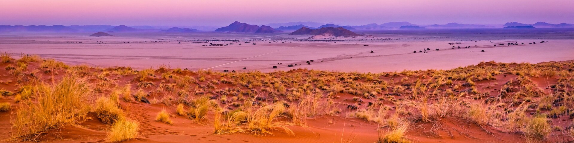 A desert landscape with sand dunes, sparse vegetation, and distant mountains.