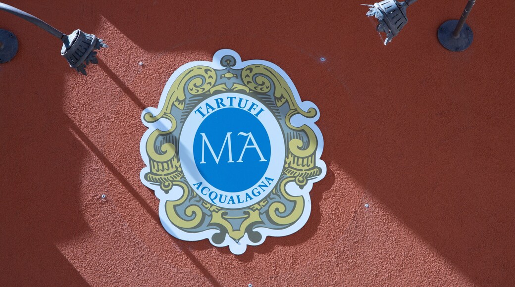 Acqualagna, (PU), Italy - August 10, 2022: Truffle shop in Acqualagna, Pesaro Urbino, Marche, Italy, Europe