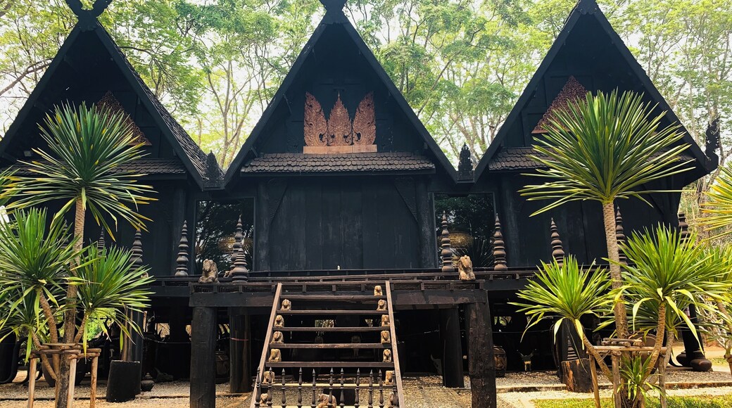 Known as the Black Museum. Series of buildings that contains a collection of bones of various animals by a famous Thai artist.