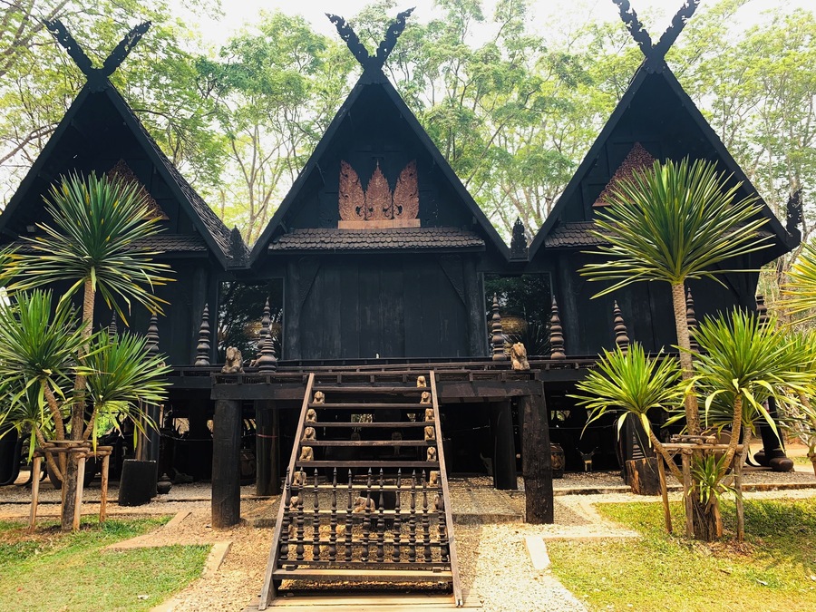 Known as the Black Museum. Series of buildings that contains a collection of bones of various animals by a famous Thai artist.