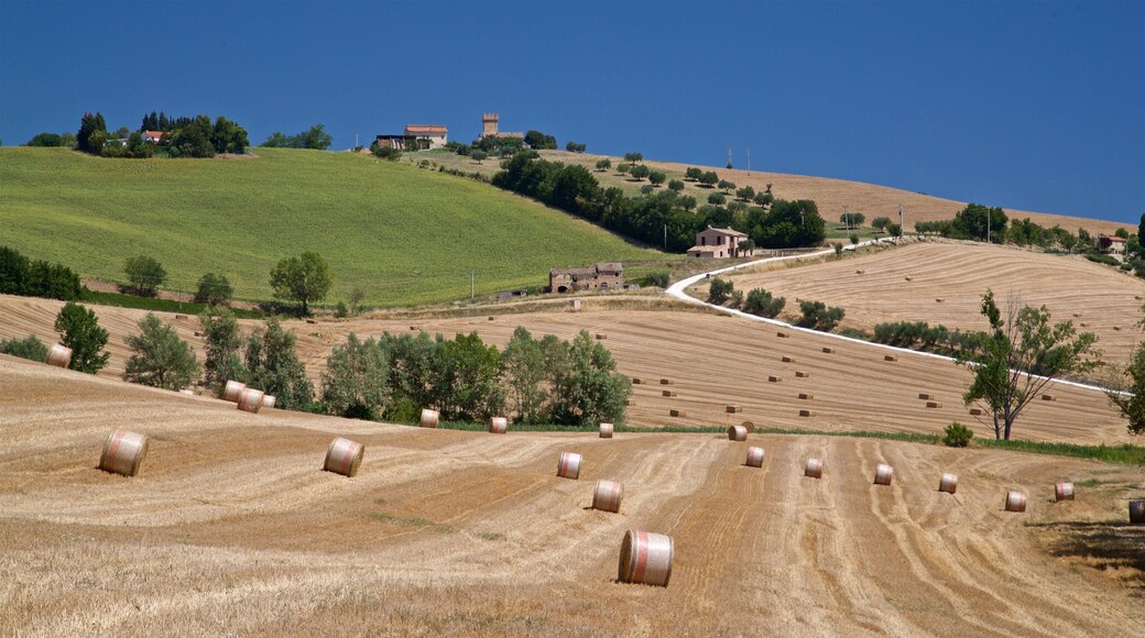 Fermo featuring farmland and landscape views