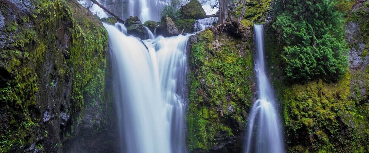 Falls Creek Falls is an amazing waterfall near Columbia River Gorge. One of the biggest waterfalls I've seen. #Green