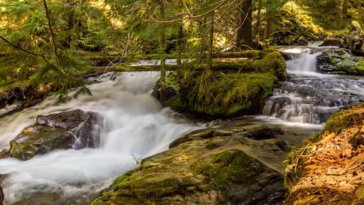 Panther Creek Falls in the Wind River Valley in Skamania County, Washington