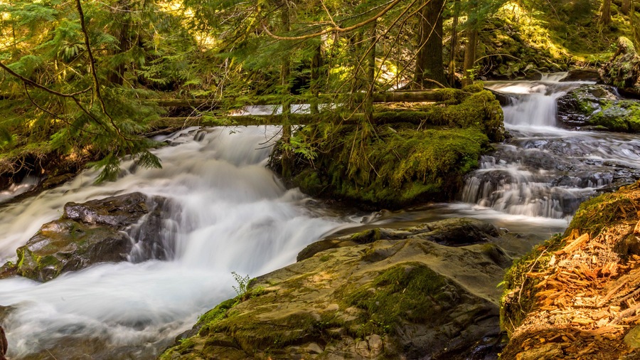 Panther Creek Falls in the Wind River Valley in Skamania County, Washington