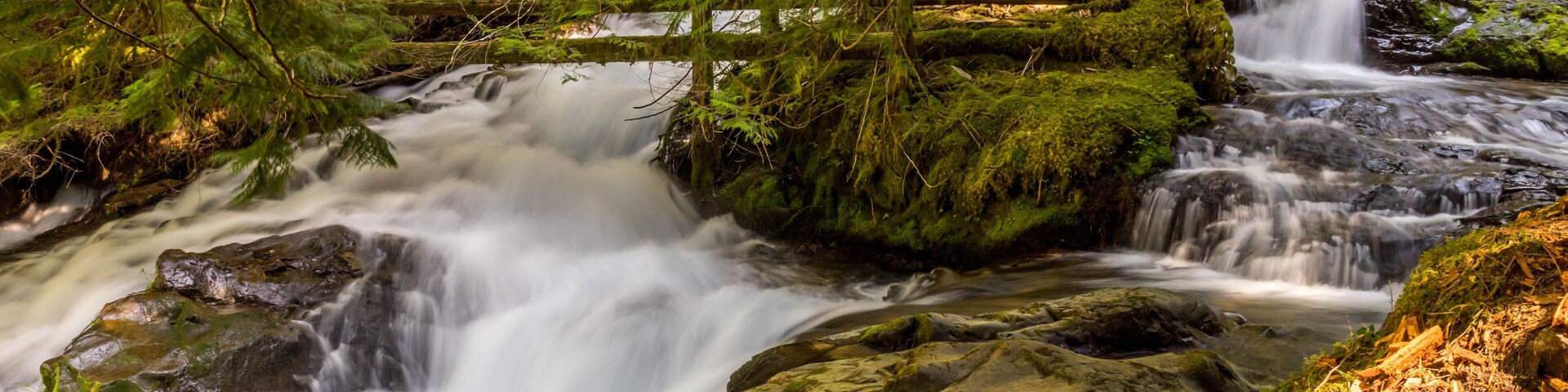 Panther Creek Falls in the Wind River Valley in Skamania County, Washington