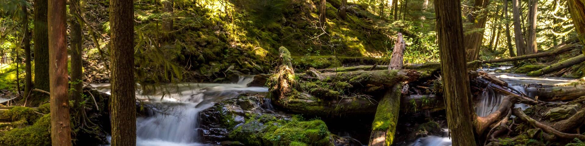 Panther Creek Falls in the Wind River Valley in Skamania County, Washington