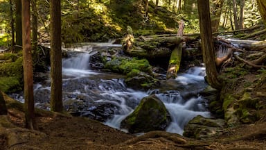 Panther Creek Falls in the Wind River Valley in Skamania County, Washington