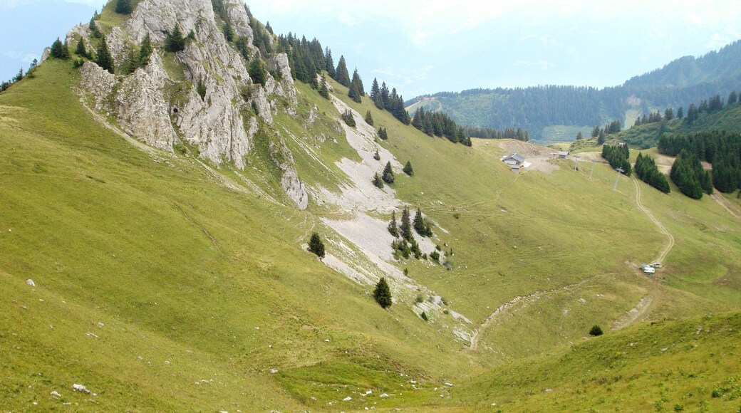 74360 La Chapelle-d'Abondance, France
