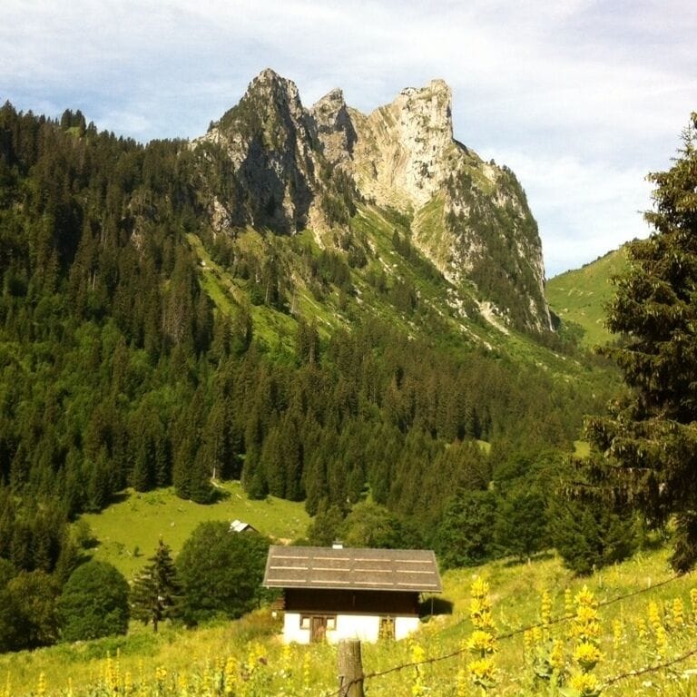Pays d'Évian Vallée d'Abondance