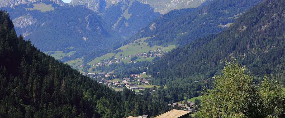 A mountainous landscape with a valley, dense forests, and a small town nestled among the hills.